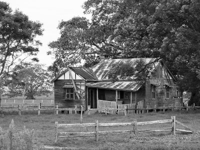 IMG_7447bw.jpg