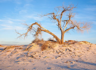 White Sands in Color