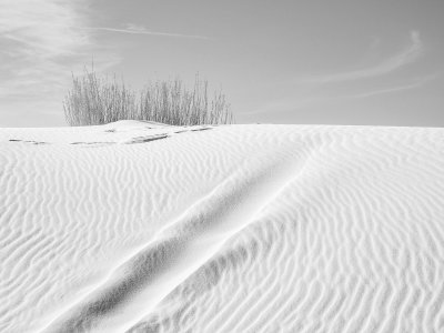 White Sands in Black and White