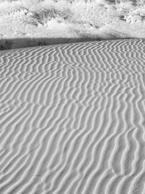 g2/56/151956/3/148406475.9X6kRA6r.jpg
