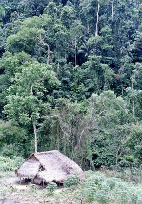 Remote Batak house