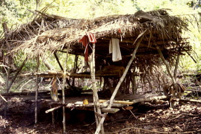 Shelter in forest campo