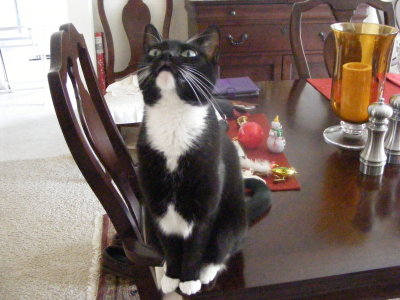 2012_1219cmas0028.JPG