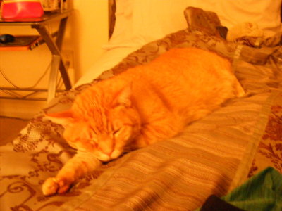2012_1225cmas0016.JPG