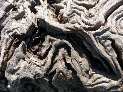 Nature's carving hand