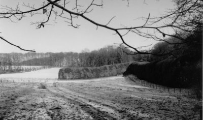 Mariendaal Groene Bedstee  and open fields in winter dress