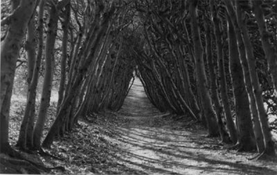 Mariendaal  De Groene Bedstee in Arnhem, The Netherlands