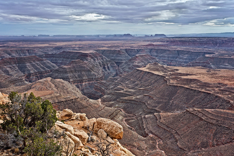 Muley Point Vista