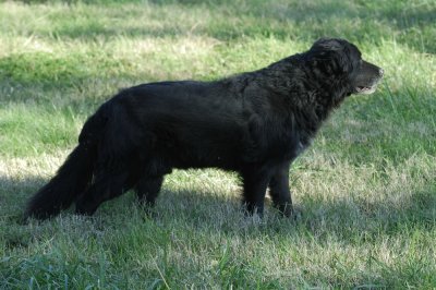 Riley Portrait.jpg