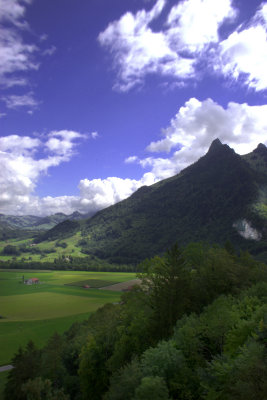 Gruyere