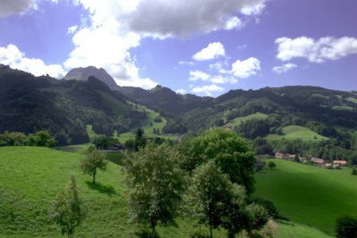 Gruyere