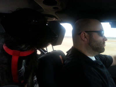 Me and My Copilot