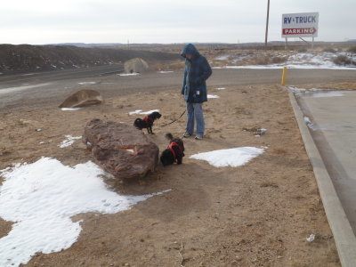 The X and the Kiddos on Route 66