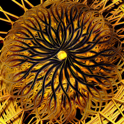 Medusa Sphere