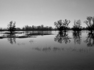 Gray Lodge Pond Mono 1.jpg