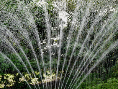Sprinkler.jpg