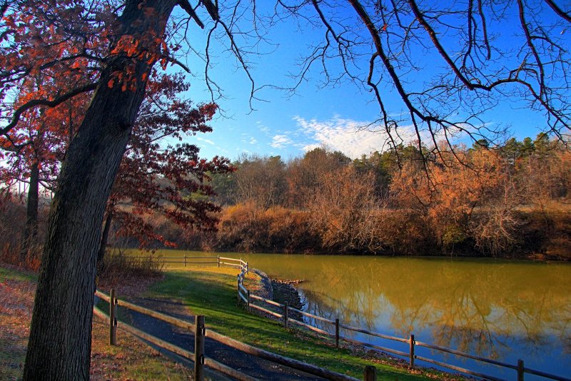 Park Pond In HDR<BR>November 22, 2012