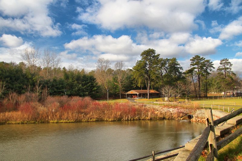 Park in HDR<BR>December 5, 2012