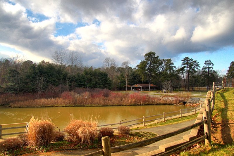 Cook Park Pond in HDR<BR>December 12, 2012