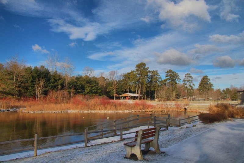 The Snow is Back in HDR<BR>February 1, 2013 