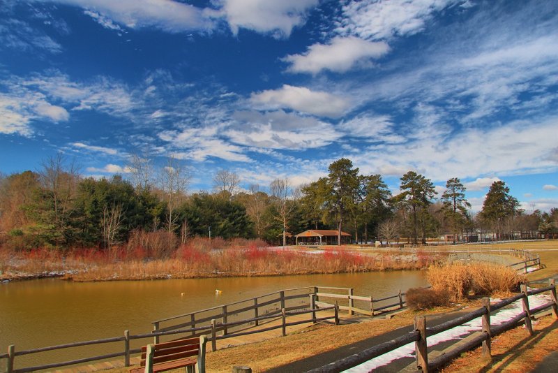 Park in HDR<BR>February 20, 2013