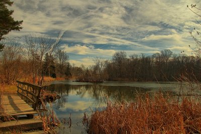 Pond in HDRNovember 20, 2012