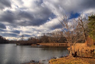 Local Pond in HDRDecember 11, 2012