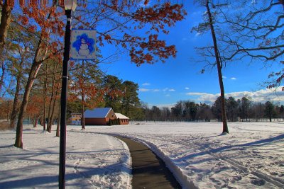 Snow in Park in HDRJanuary 5, 2013