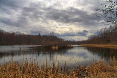 Pond in HDRApril 14, 2013