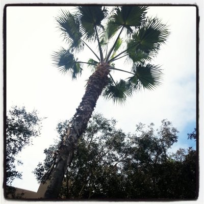los_angeles