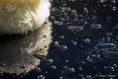 Car wash