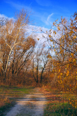 _DSF0115.jpg