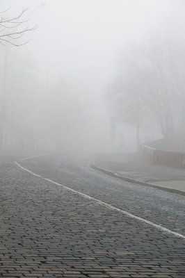 Foggy Morning 24.11.12