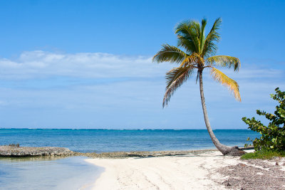 Dominican Republic
