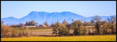 20130201-_MG_4487.jpg