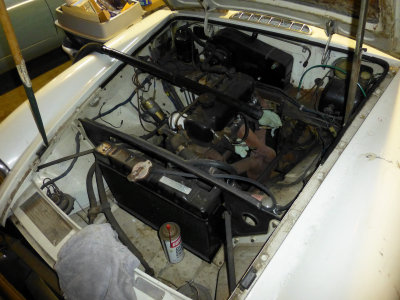 P1000059.JPG