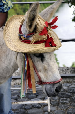 Altos de Chavon_DSC8362
