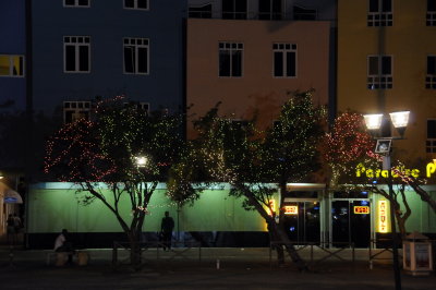 Curaao_DSC8515