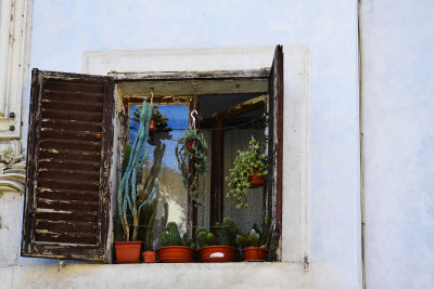 window