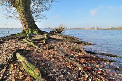 Zicht op Gorinchem4