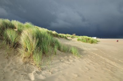 Bui bij Vrouwenpolder