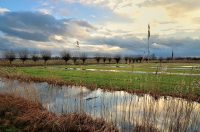 Tuil polder na veel regen