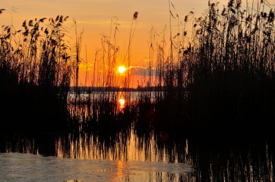 Biesbosch zonsondergang