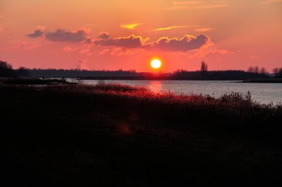 Biesbosch zonsondergang