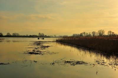 Ondergelopen uiterwaarden