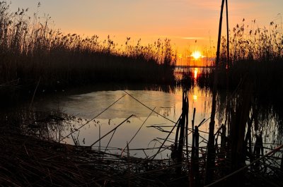 Biesbosch ondergaande zon
