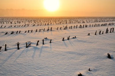 Zonsopkomst en mist