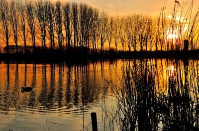 Zonsondergang in Uppel