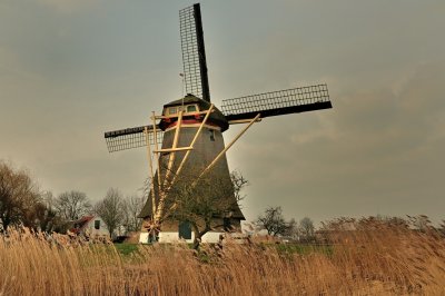Zuid Hollandse molen