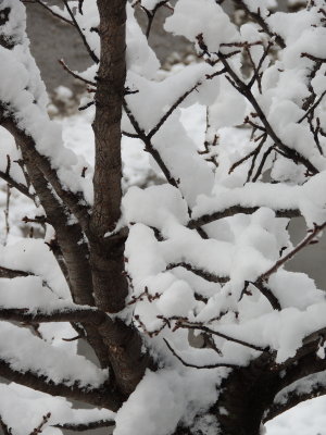 endless winter